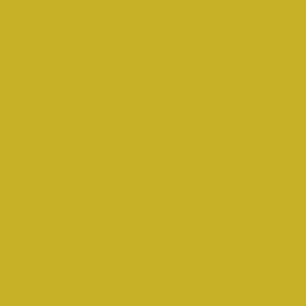 MTN 94Graphic Marker RV-110 Yosemite Yellow